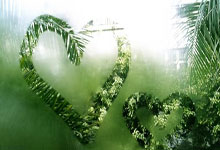 Scout连续三场比赛得分超过回归赛场，公牛挑战极限！的简单介绍